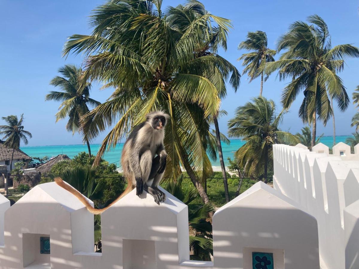 Kholle Villa Jambiani  Exteriör bild